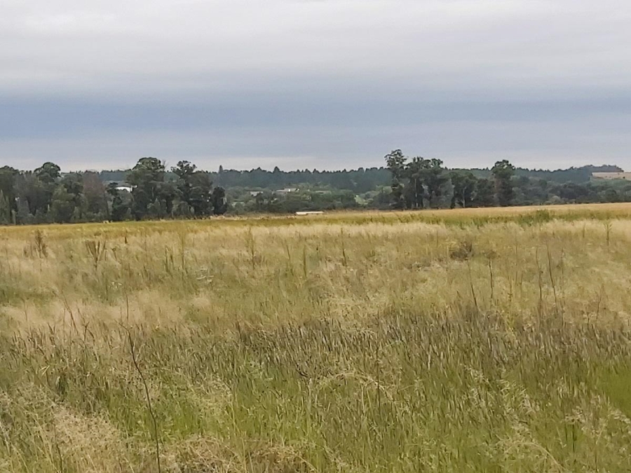 0 Bedroom Property for Sale in Vaalpark Free State